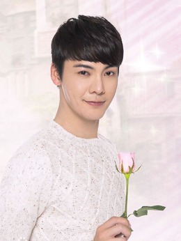 因为爱情有幸福剧情介绍_天天影视