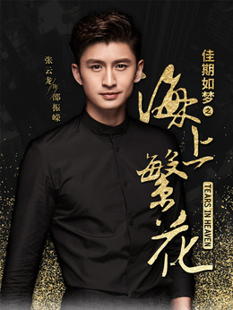 海上繁花剧情介绍_天天影视