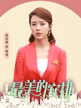 最美的安排剧情介绍_天天影视