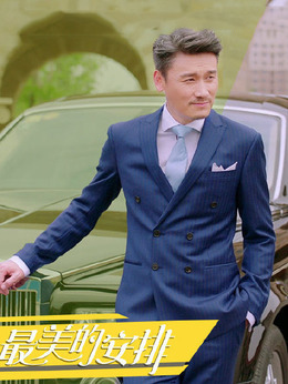 最美的安排剧情介绍_天天影视