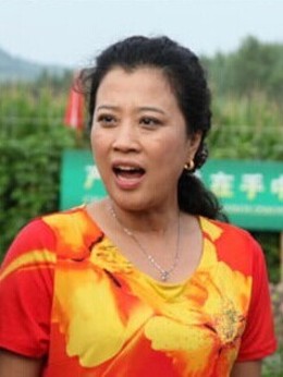 豆腐西施杨七巧剧情介绍_天天影视