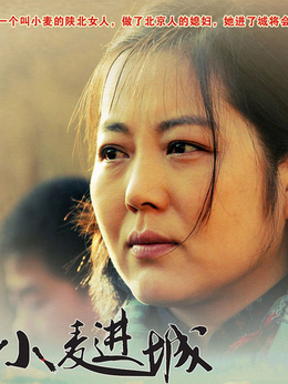 小麦进城剧情介绍_天天影视