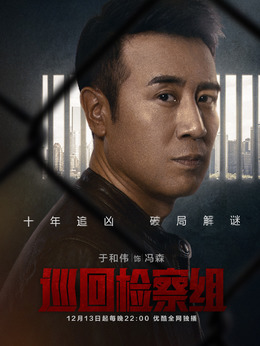 巡回检察组剧情介绍_天天影视