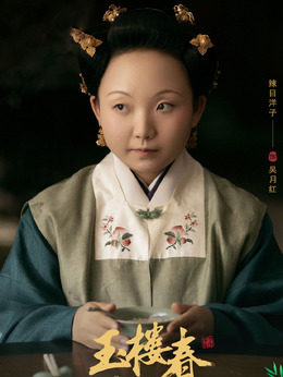 玉楼春剧情介绍_天天影视