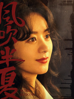 风吹半夏剧情介绍_天天影视