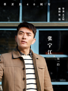 大浦东剧情介绍_天天影视