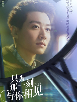 只为那一刻与你相见剧情介绍_天天影视