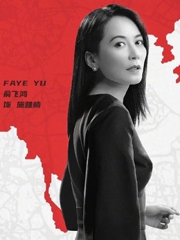 刑警之海外行动剧情介绍_天天影视