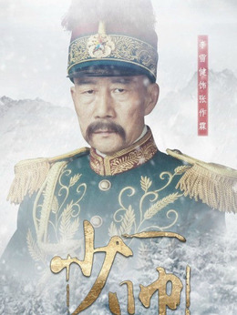少帅剧情介绍_天天影视