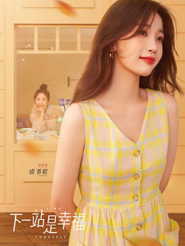 下一站是幸福剧情介绍_天天影视