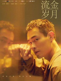 流金岁月剧情介绍_天天影视