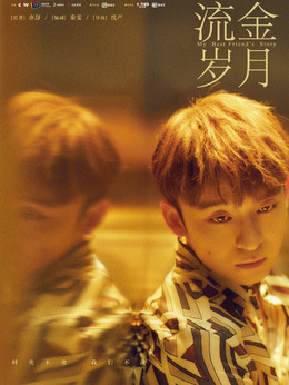 流金岁月剧情介绍_天天影视