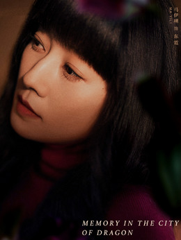 龙城剧情介绍_天天影视