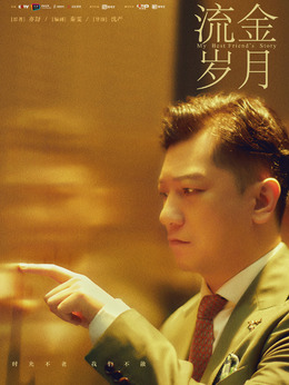 流金岁月剧情介绍_天天影视