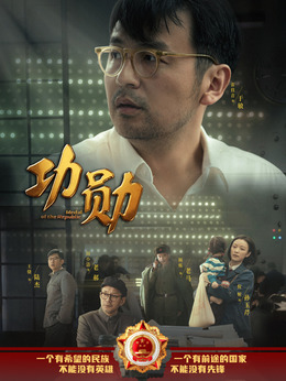 功勋剧情介绍_天天影视