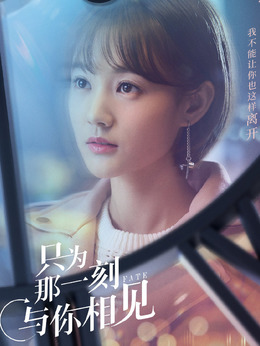 只为那一刻与你相见剧情介绍_天天影视
