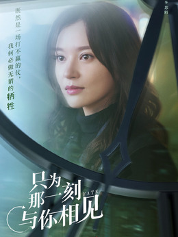 只为那一刻与你相见剧情介绍_天天影视