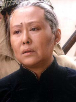 野火春风斗古城剧情介绍_天天影视