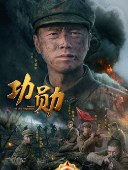 功勋剧情介绍_天天影视