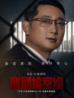 巡回检察组剧情介绍_天天影视