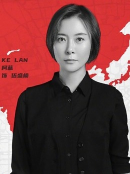 刑警之海外行动剧情介绍_天天影视