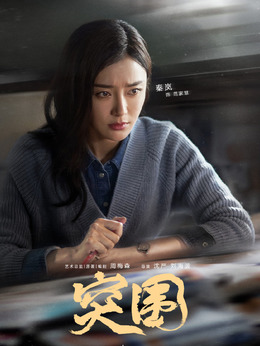 突围剧情介绍_天天影视