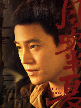 风吹半夏剧情介绍_天天影视