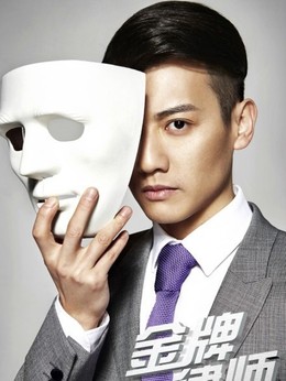 金牌律师剧情介绍_天天影视