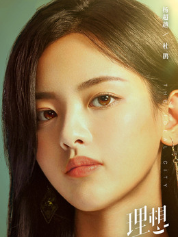 理想之城剧情介绍_天天影视