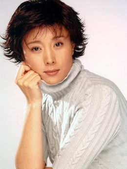 城里城外剧情介绍_天天影视