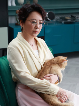 林深见鹿剧情介绍_天天影视