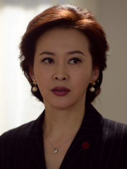 我和我的他们剧情介绍_天天影视