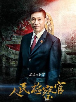 人民检察官剧情介绍_天天影视