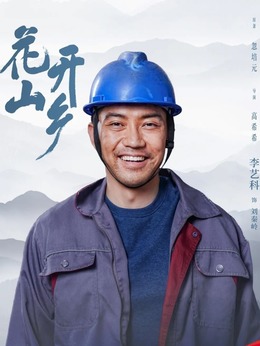 花开山乡剧情介绍_天天影视
