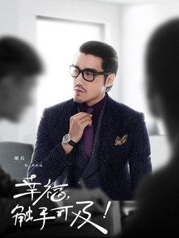 幸福，触手可及！剧情介绍_天天影视