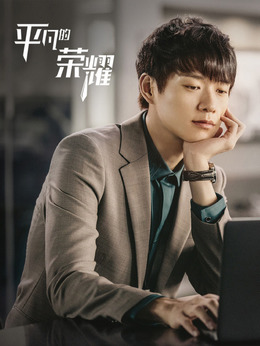 平凡的荣耀剧情介绍_天天影视