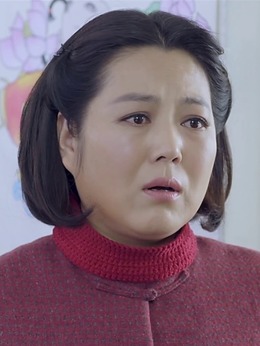 黄大妮剧情介绍_天天影视