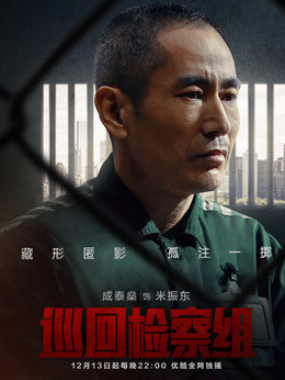 巡回检察组剧情介绍_天天影视