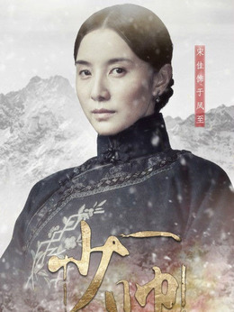 少帅剧情介绍_天天影视