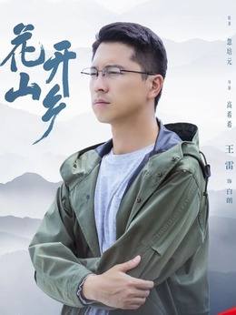 花开山乡剧情介绍_天天影视