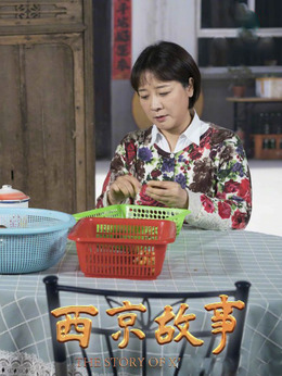 西京故事剧情介绍_天天影视