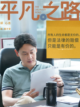 平凡之路剧情介绍_天天影视