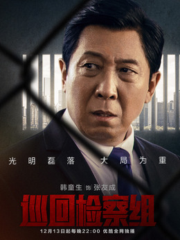 巡回检察组剧情介绍_天天影视