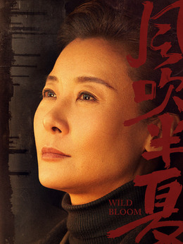 风吹半夏剧情介绍_天天影视