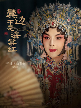 鬓边不是海棠红剧情介绍_天天影视