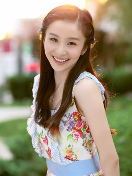 津门飞鹰剧情介绍_天天影视