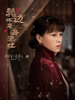 鬓边不是海棠红剧情介绍_天天影视