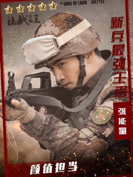 陆战之王剧情介绍_天天影视