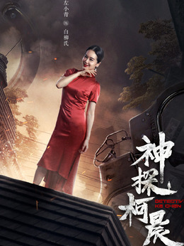 神探柯晨剧情介绍_天天影视