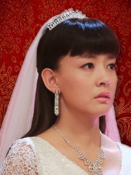 我和她的传奇情仇剧情介绍_天天影视